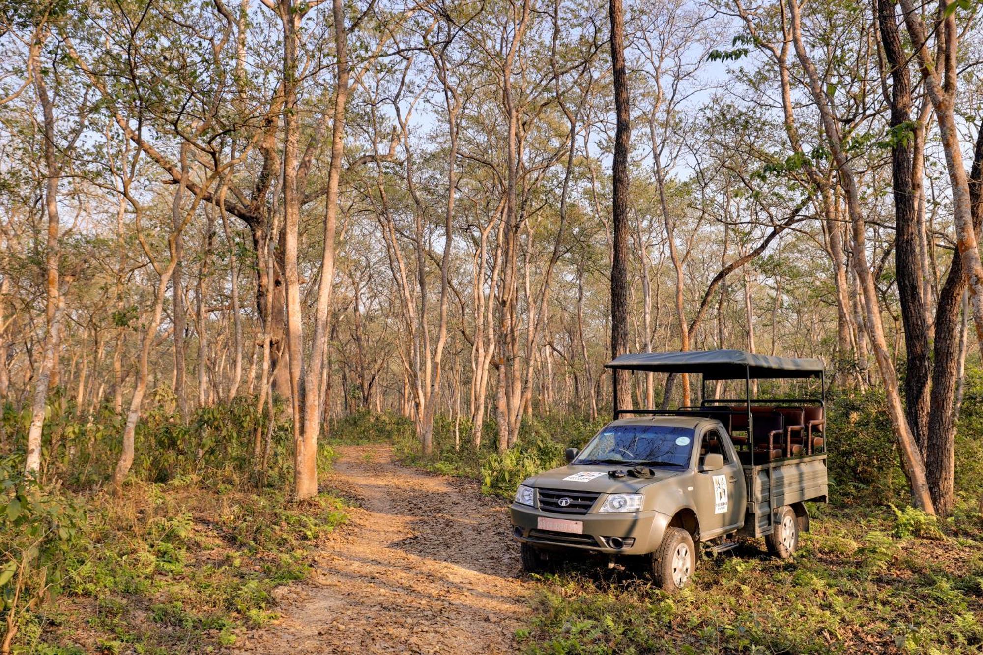 Tigerland Safari - A Lemon Tree Resort, Chitwan, Nepal Patlahara Экстерьер фото