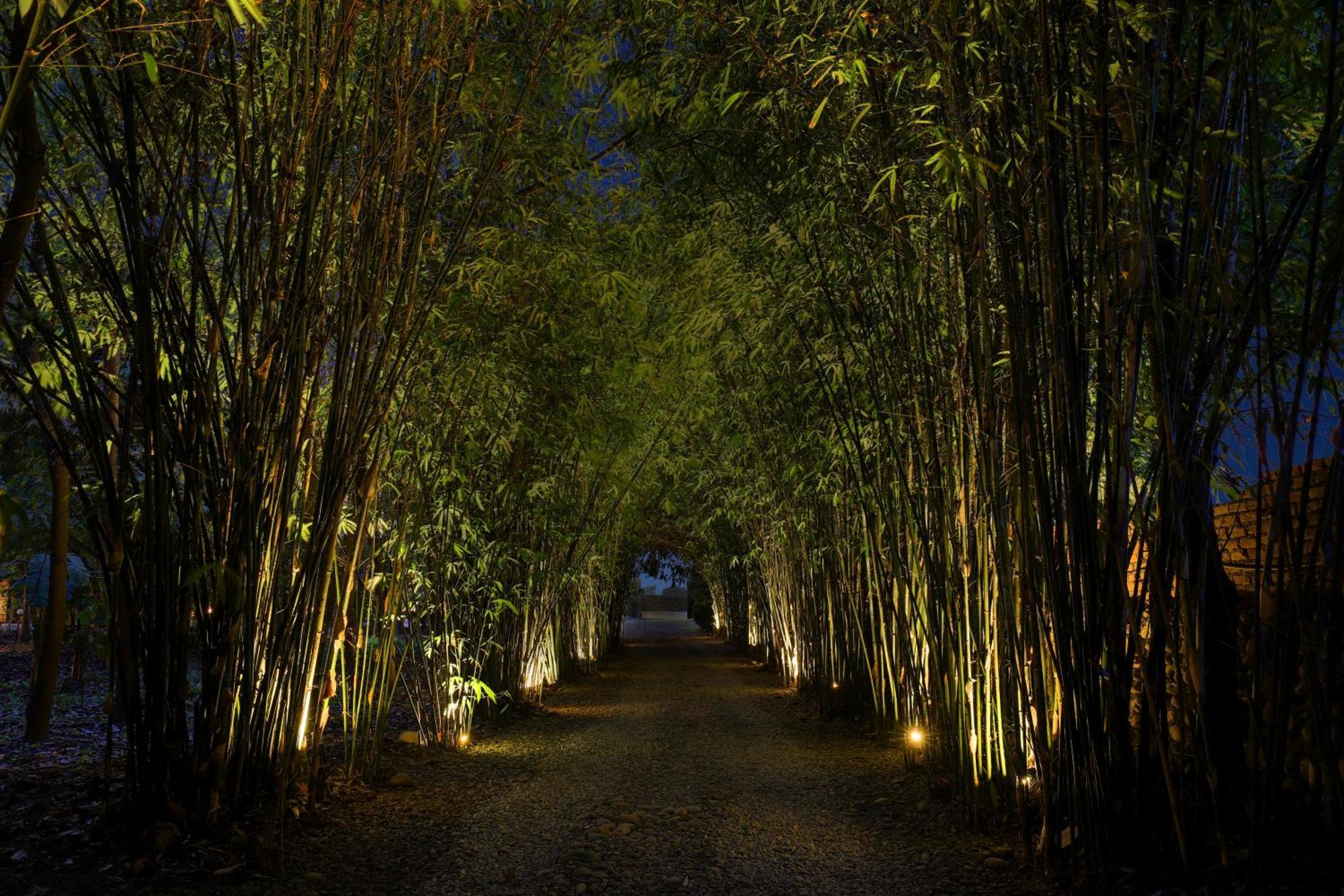 Tigerland Safari - A Lemon Tree Resort, Chitwan, Nepal Patlahara Экстерьер фото