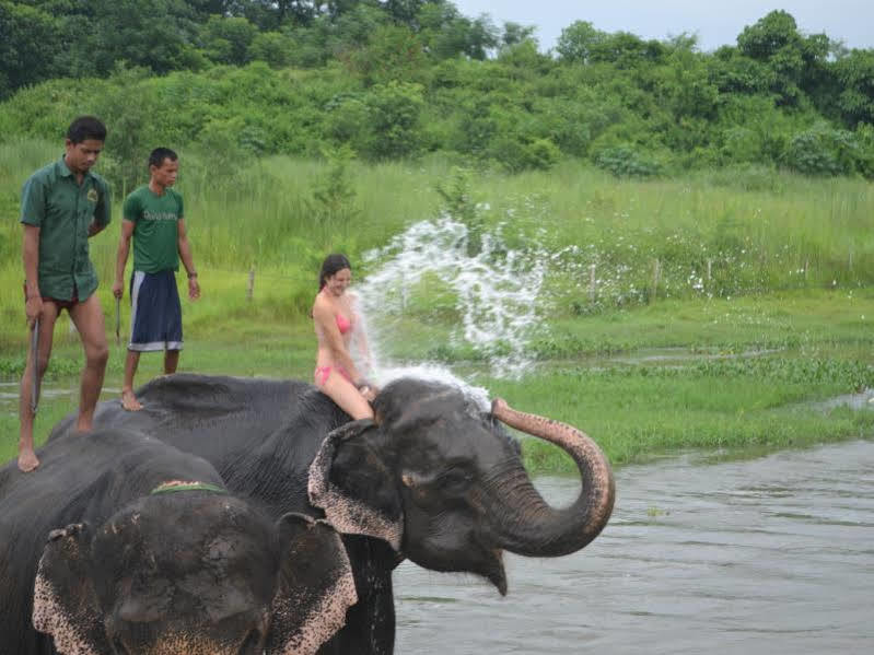 Tigerland Safari - A Lemon Tree Resort, Chitwan, Nepal Patlahara Экстерьер фото